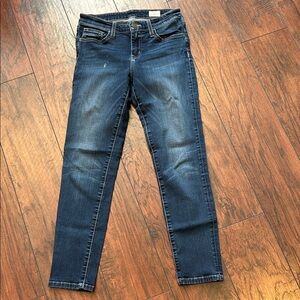 Bridge by Gly Dark Wash Skinny Jeans